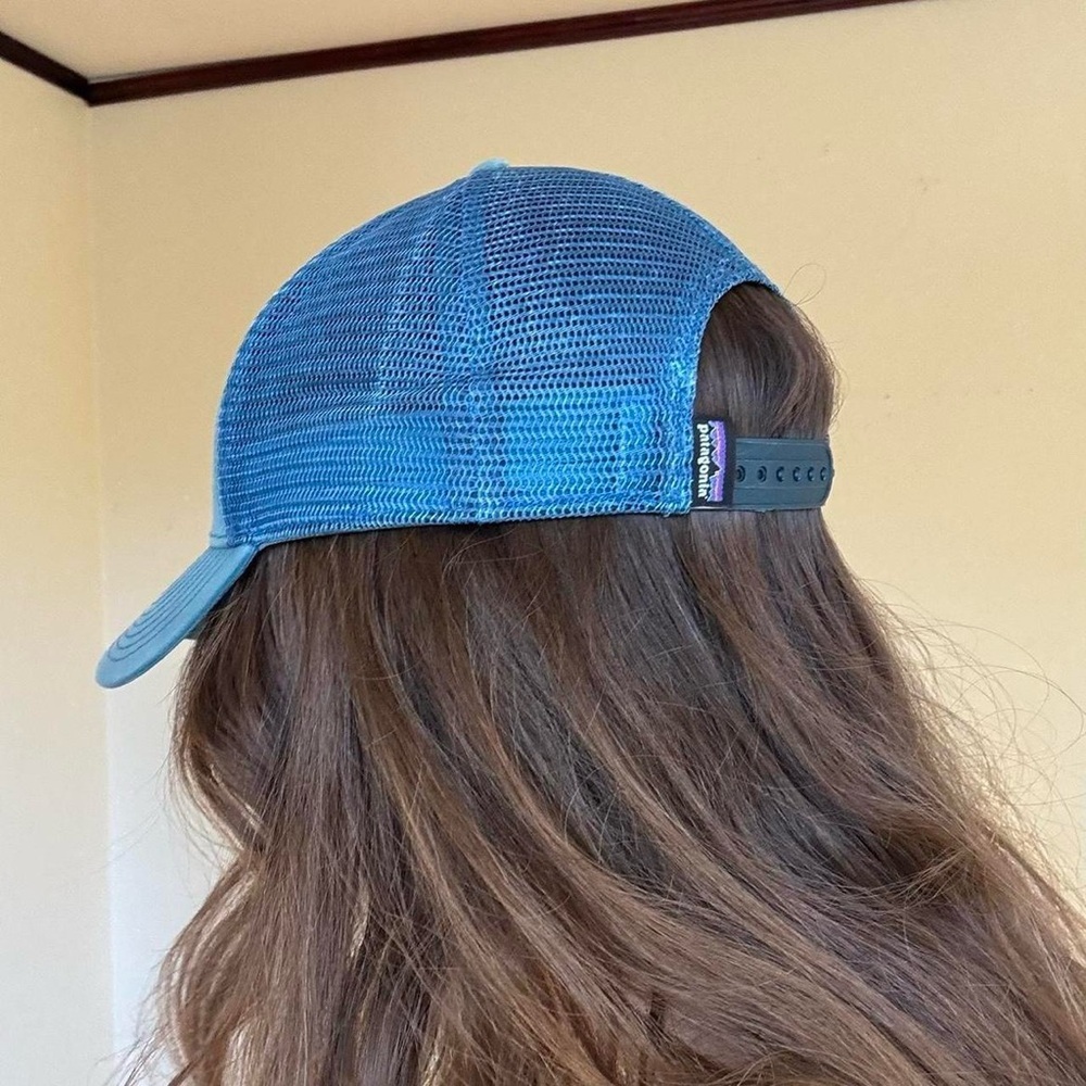Blue Patagonia snap back - Picture 3 of 5